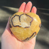 Septarian Gemstone Heart Carving | Grounding | Healing | Expression | Genuine Gems from Crystal Heart Melbourne Australia since 1986