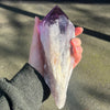 Natural Amethyst Crystal Cluster  | Nice Purple | Stand attached | The Spiritual Stone | Peace Harmony Meditation  | Purifying Energy | Genuine Gems from Crystal Heart Melbourne Australia since 1986