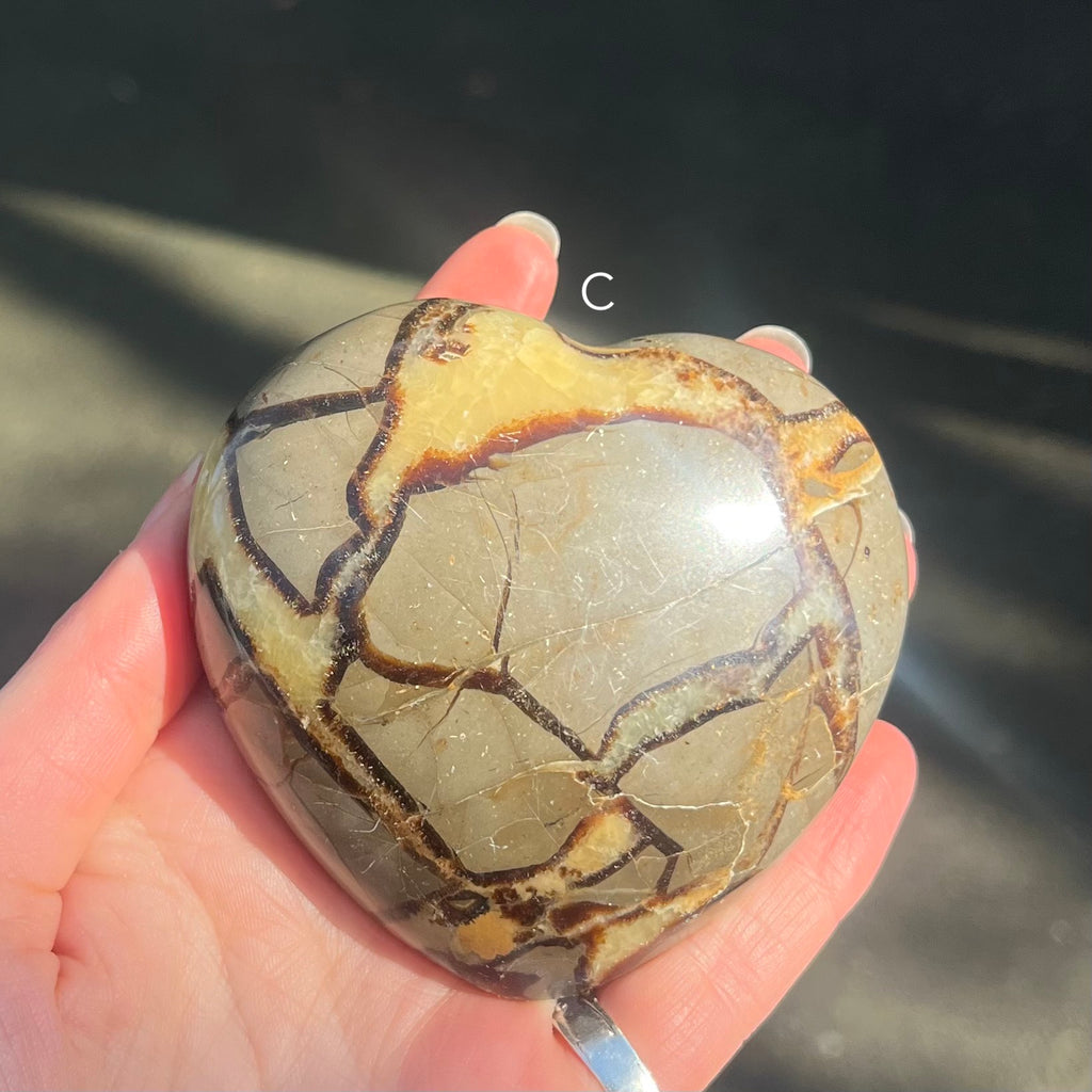 Septarian Gemstone Heart Carving | Grounding | Healing | Expression | Genuine Gems from Crystal Heart Melbourne Australia since 1986