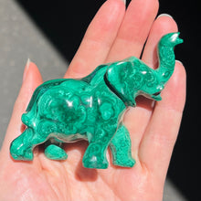 Load image into Gallery viewer, Hand Carved Genuine Malachite | Raised trunk good  Feng Shui Protection | Overcome obstacles | Crystal Heart Melbourne Australia since 1986