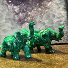 Load image into Gallery viewer, Hand Carved Genuine Malachite | Raised trunk good  Feng Shui Protection | Overcome obstacles | Crystal Heart Melbourne Australia since 1986