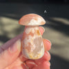 Mushroom Carvings | Fossilised Flower Coral in Agate  | Healing Stone | Heart Opening | Earth | Genuine Gems from Crystal Heart Melbourne Australia since 1986