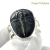 Trilobite Fossil Ring | 925 Sterling Silver |  Nice details on these genuine Fossils | US Size 10 | Aus Size T1/12| Genuine Gems from Crystal Heart Melbourne Australia since 1986