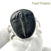 Load image into Gallery viewer, Trilobite Fossil Ring | 925 Sterling Silver |  Nice details on these genuine Fossils | US Size 10 | Aus Size T1/12| Genuine Gems from Crystal Heart Melbourne Australia since 1986