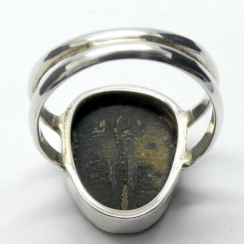 Trilobite Fossil Ring | 925 Sterling Silver |  Nice details on these genuine Fossils | US Size 10 | Aus Size T1/12| Genuine Gems from Crystal Heart Melbourne Australia since 1986