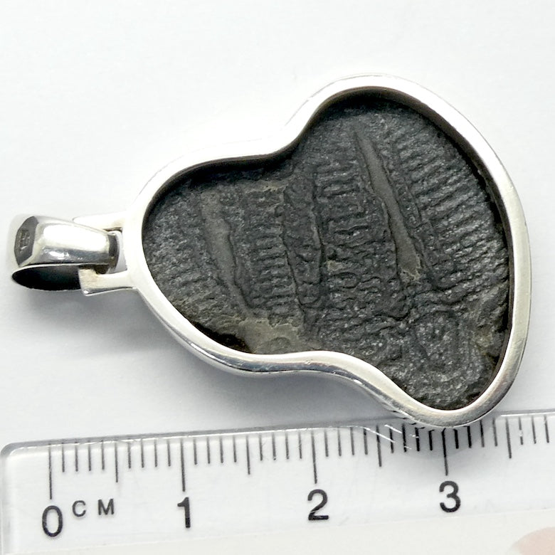 Trilobite Fossil Pendant | 925 Sterling Silver |  Nice clean Specimen | Good Detail | Genuine Gems from Crystal Heart Melbourne Australia since 1986