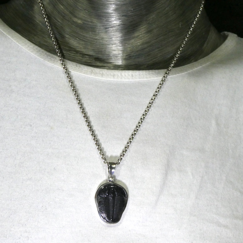 Trilobite Fossil Pendant | 925 Sterling Silver |  Nice clean Specimen | Good Detail | Genuine Gems from Crystal Heart Melbourne Australia since 1986