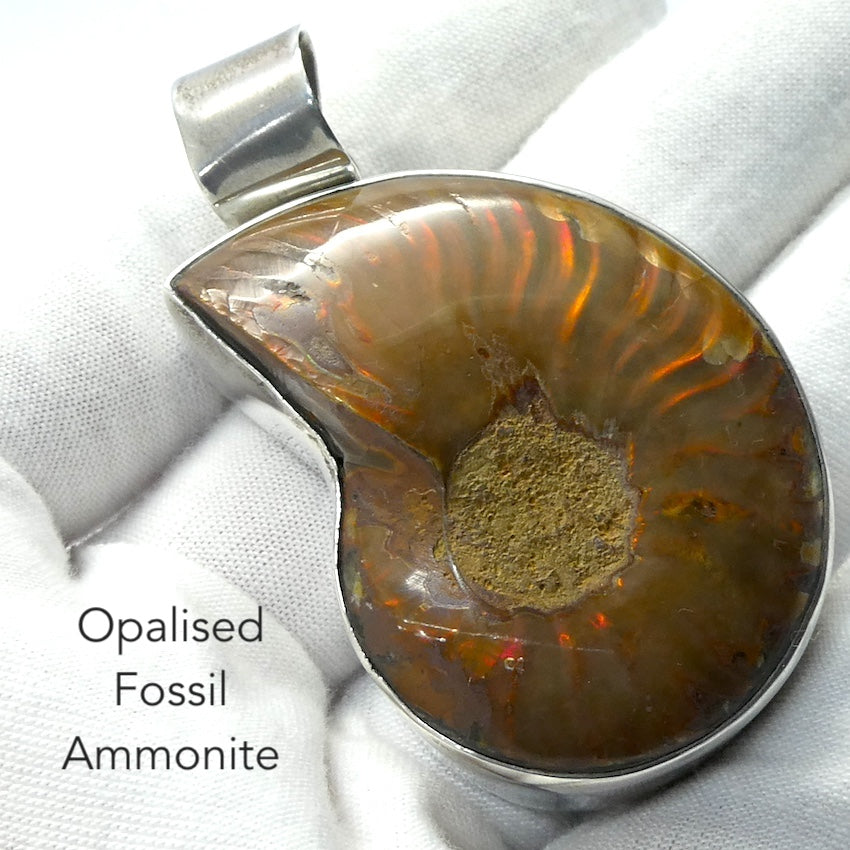 Ammonite Pendant | Opalised | Replaced by Aragonite | Redirecting energy | Unblocking Chakras | Helps your energy spiral out into the world yet be protected | Genuine Gems from Crystal Heart Australia Melbourne Australia since 1986