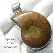 Load image into Gallery viewer, Ammonite Pendant | Opalised | Replaced by Aragonite | Redirecting energy | Unblocking Chakras | Helps your energy spiral out into the world yet be protected | Genuine Gems from Crystal Heart Australia Melbourne Australia since 1986