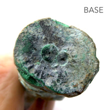 Load image into Gallery viewer, Malachite &amp; Chrysocolla Healing Massage Wand I Natural Phallus Shape | Fertility Luck and Protection | Genuine Gemstones Crystal Heart Melbourne est.1986