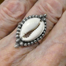 Load image into Gallery viewer, Cowrie Shell Ring | 925 Sterling Silver |Silver Ball work | US Size 8 | AUS Size P1/2  |Protection | fertility | abundance | Crystal Heart Australia Est 1986 