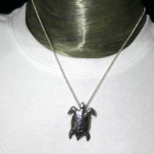 Load image into Gallery viewer, Loggerhead Turtle Pendant | 925 Sterling Silver | Crystal Heart Melbourne Australia since 1986