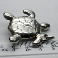 Load image into Gallery viewer, Loggerhead Turtle Pendant | 925 Sterling Silver | Large Electroformed | Strong but ;ight weight | Crystal Heart Melbourne Australia since 1986