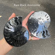 Load image into Gallery viewer, Rare black Ammonite Fossil Pair