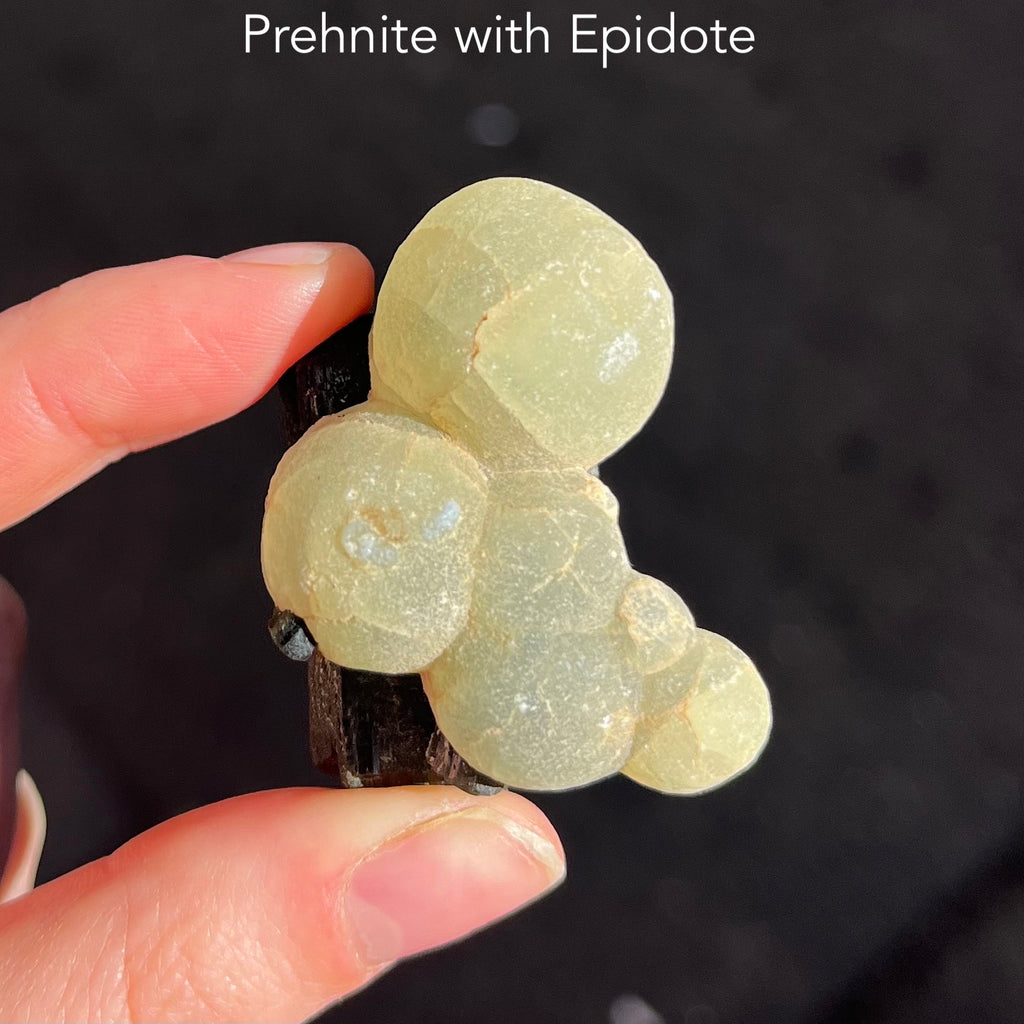 Australian Prehnite | Raw Crystal Specimen | Epidote | Heart Healing | Rejuvenate | See through the eye of the Heart | Libra Star Stone | Genuine Gems from Crystal Heart Melbourne Australia since 1986