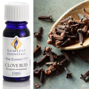 Clove Bud Essential oil 10ml