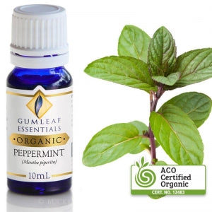 Peppermint Organic