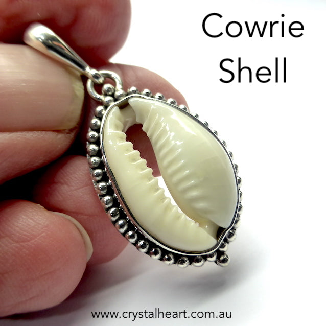 Cowrie Shell Pendant | I925 Sterling Silver with Silver Ball work surround | Goddess connection and protection, fertility and abundance | Genuine Gems from Crystal Heart Australia Melbourne Australia since 1986